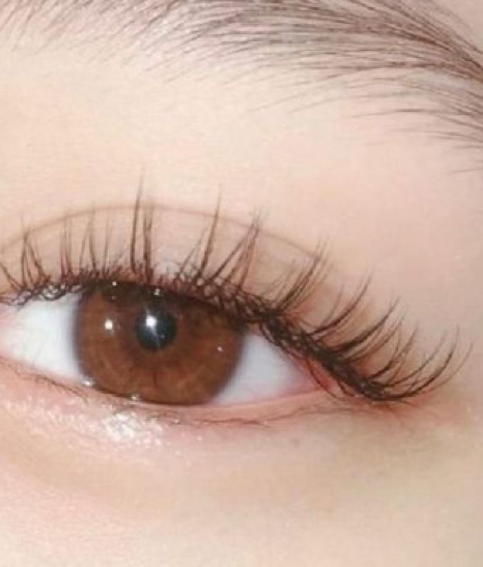 Nối Mi Classic
